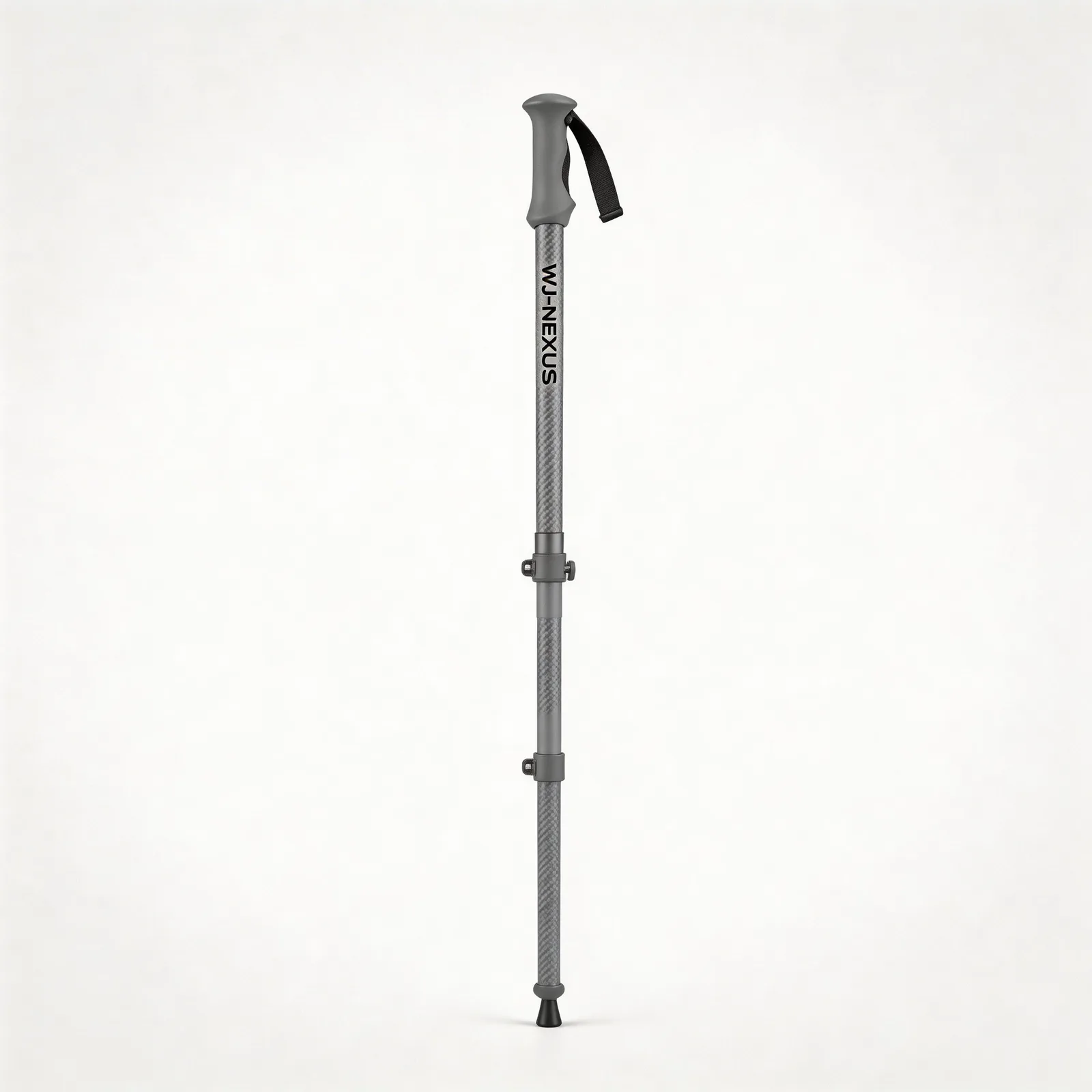 Trekking pole variant 2